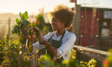 African-American woman checking her vegetable garden