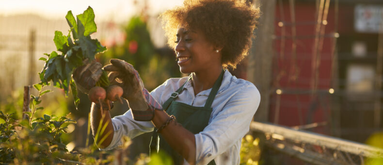 African-American woman checking her vegetable garden