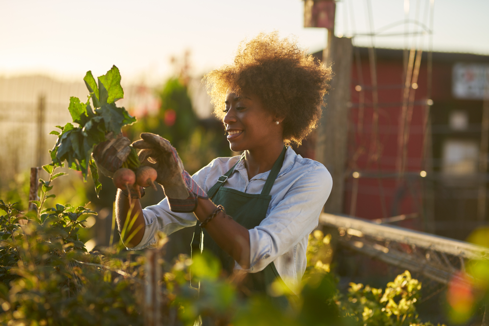 African-American woman checking her vegetable garden