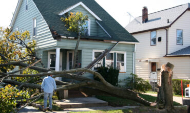Tree falls on roof