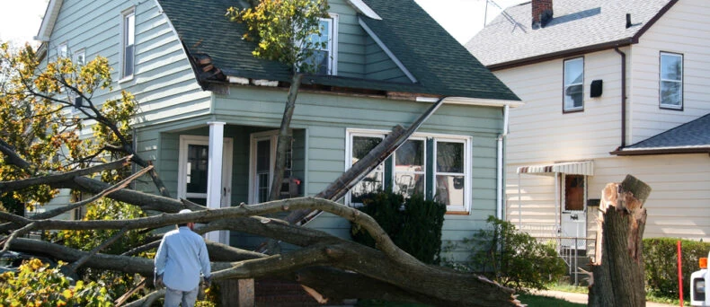 Tree falls on roof