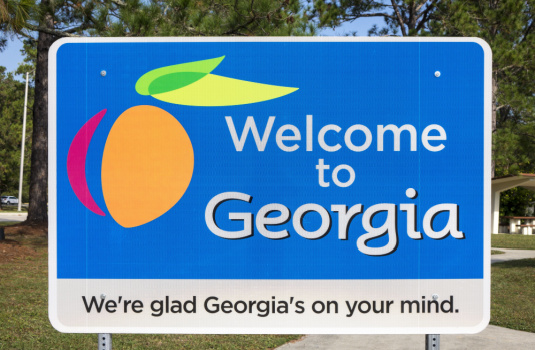 welcome to georgia sign
