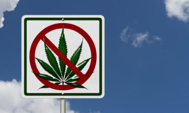 Sign showing a marijuana plant with a line through it