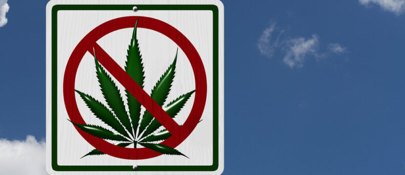 Sign showing a marijuana plant with a line through it