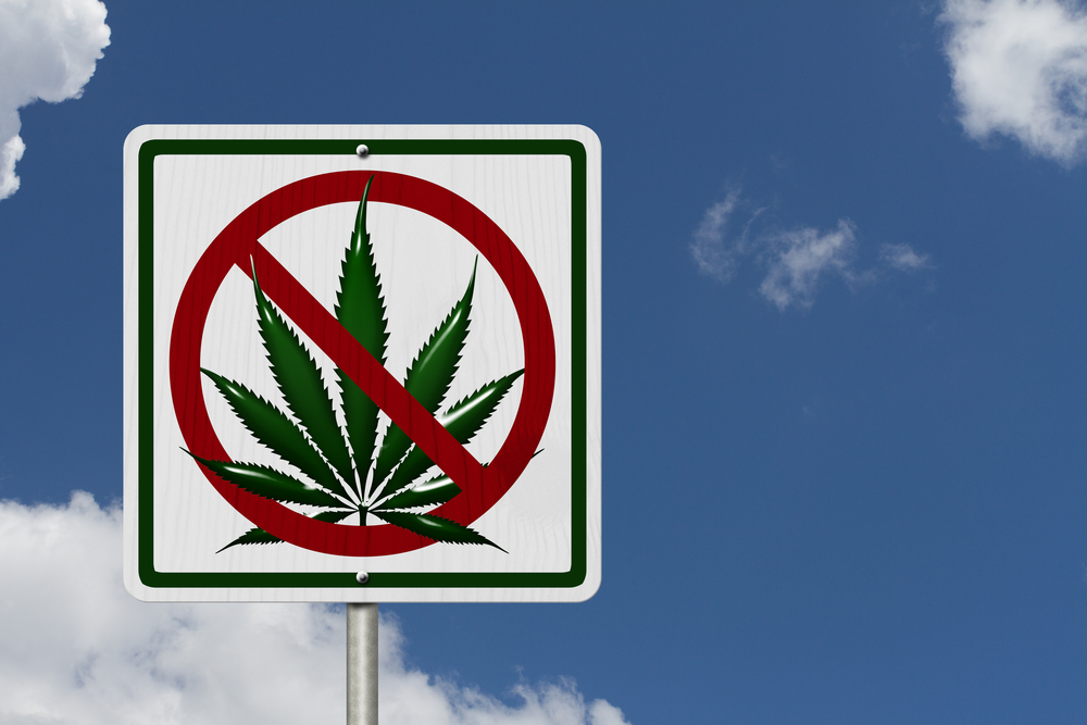 Sign showing a marijuana plant with a line through it