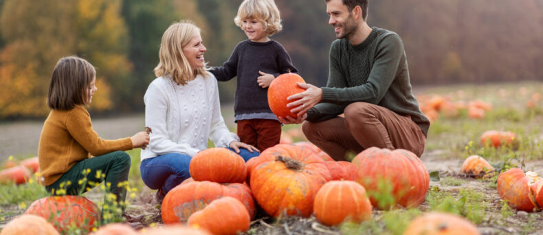 Family picking a pumpkin from the pumpkin patch
