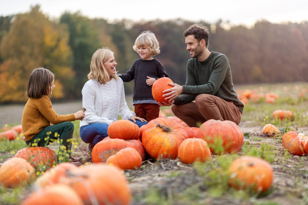 Family picking a pumpkin from the pumpkin patch