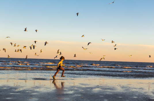 Small child runs along the beach with seagulls at St. Simon's Island - cheap car insurance in Georgia.