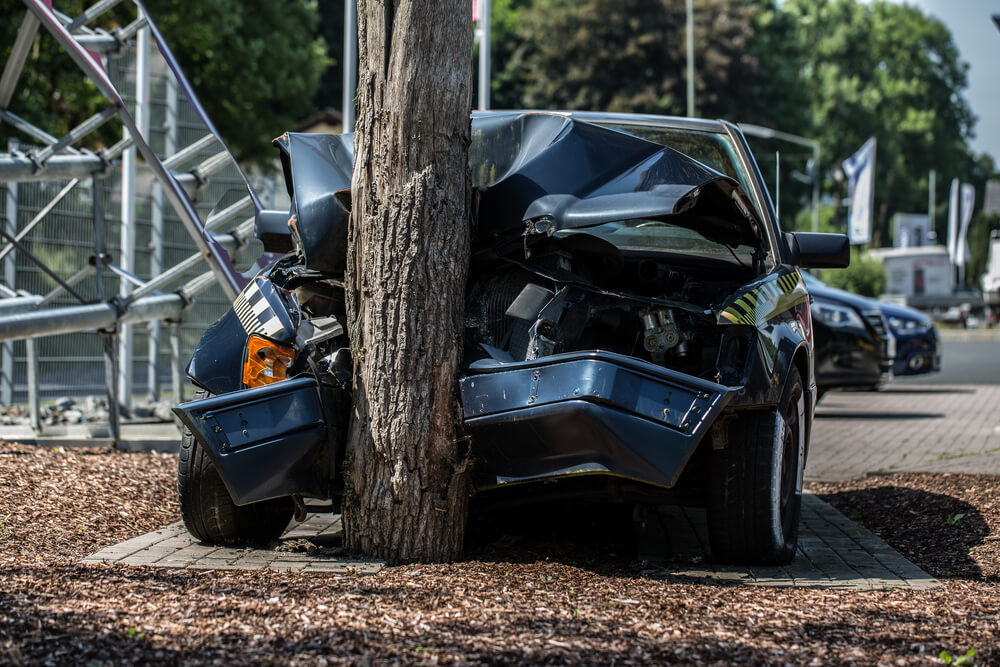 Front view of a car crashed into a tree, cheap car insurance in Georgia.