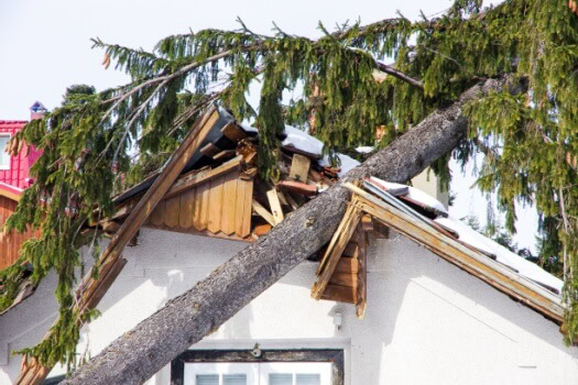 A tree falls on a house - cheap homeowners insurance in Georgia.