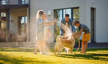 Family playing and enjoying the summer while getting wet with hose water