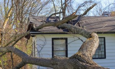 A tree fell on a roof during a storm - cheap home insurance in Georgia.