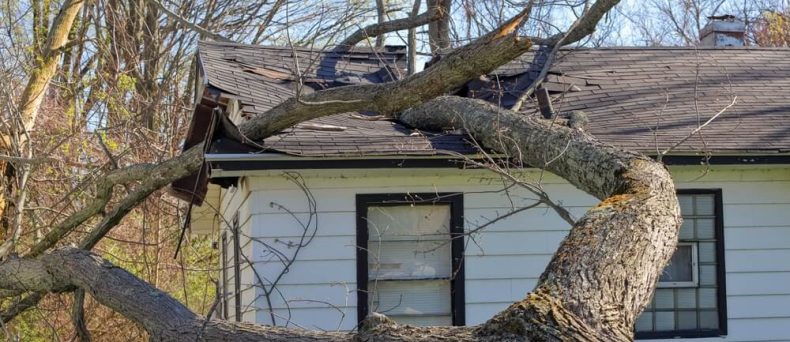 A tree fell on a roof during a storm - cheap home insurance in Georgia.