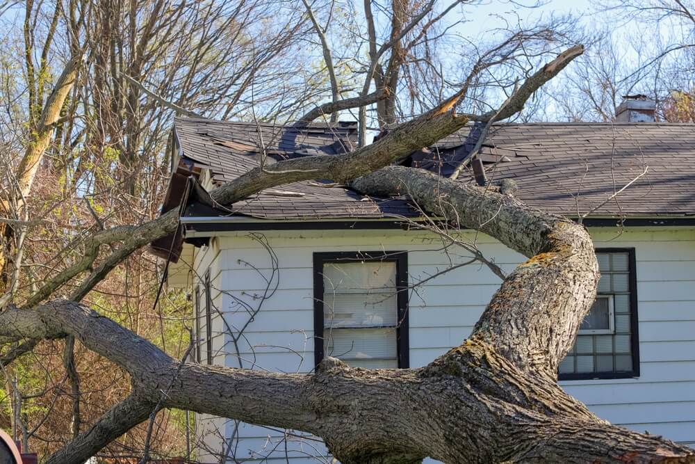 A tree fell on a roof during a storm - cheap home insurance in Georgia.