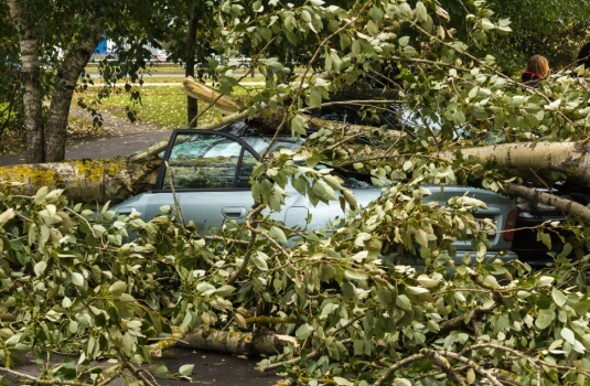 A tree lies on top of a car after a storm in Georgia, comprehensive coverage will pay for the repairs.