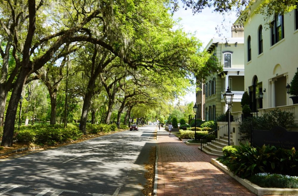 Tree-lined residential street in Georgia with historic homes, illustrating home insurance considerations after coverage is denied.