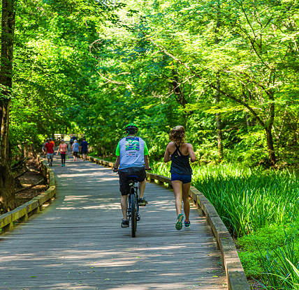 ALPHARETTA, GEORGIA - May 25, 2019: The Big Creek Greenway is over 20 miles of paved and board fitness trails spanning two counties north of Atlanta through lush green wetlands.