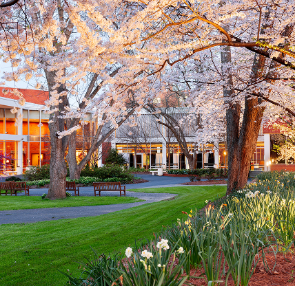 Campus spring time landscape at dusk – cheap car insurance in Georgia.