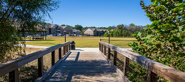 A long winding brown wooden bridge over the Sandy Run Creek surrounded by lush green trees and plants with a clear blue sky at The Walk at Sandy Run in Warner Robins Georgia USA