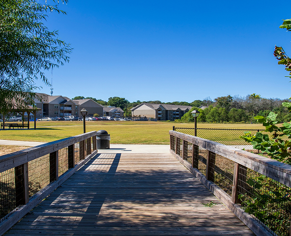 A long winding brown wooden bridge over the Sandy Run Creek surrounded by lush green trees and plants with a clear blue sky at The Walk at Sandy Run in Warner Robins Georgia USA