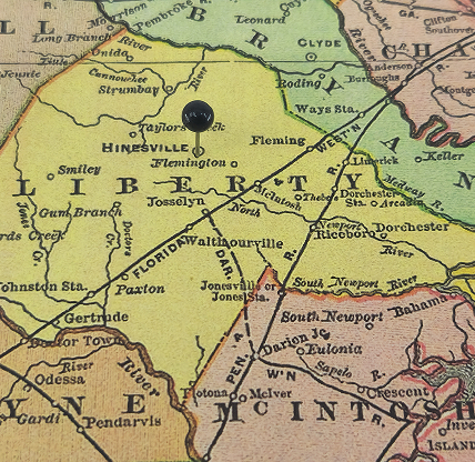 Liberty County, Georgia marked by a black tack on a colorful vintage map. The county seat is located in the city of Hinesville, GA.