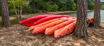 Several kayak rentals tied together on the beach against a tree at the lake with the woodlands in the background during the daytime in autumn - cheap car insurance in Georgia.