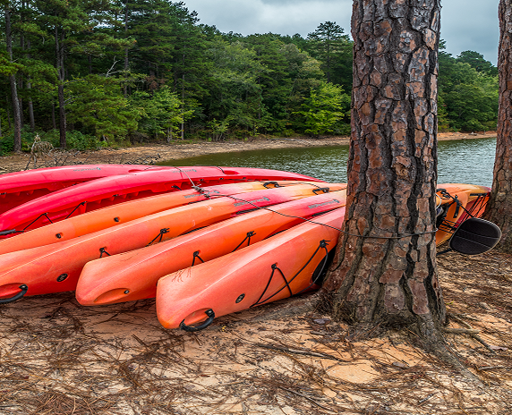 Several kayak rentals tied together on the beach against a tree at the lake with the woodlands in the background during the daytime in autumn - cheap car insurance in Georgia.