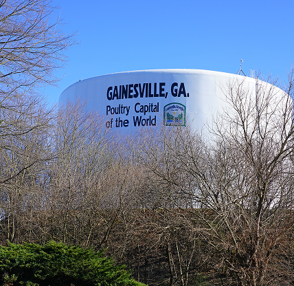 View of Gainesville water tower, called the Poultry Capital of the World - cheap car insurance in Georgia.