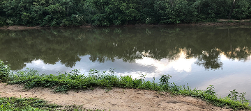 The bank of West Point lake in Lagrange - cheap car insurance in Georgia.