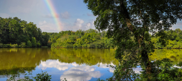 A stunning shot of the silky brown lake water at Candler Lake with green trees and plants reflecting off the water with blue sky, clouds and a rainbow at Lullwater Preserve in Decatur - cheap car insurance in Georgia.