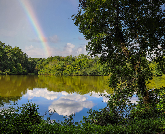 A stunning shot of the silky brown lake water at Candler Lake with green trees and plants reflecting off the water with blue sky, clouds and a rainbow at Lullwater Preserve in Decatur - cheap car insurance in Georgia.