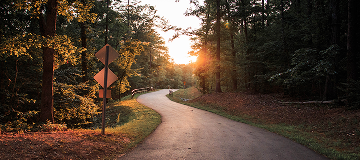 Into the woods - cheap car insurance in Georgia.