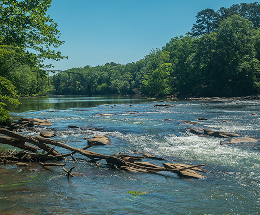 Chattahoochee river at the Jones bridge park in Georgia with some geese in the middle and a few people fishing in the background near the rusted exempt railroad bridge on a sunny day in springtime.