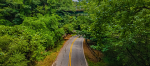 Silver Comet Trail in Georgia Silver Comet Trail Silver Comet Road Bridge - cheap car insurance in Georgia.