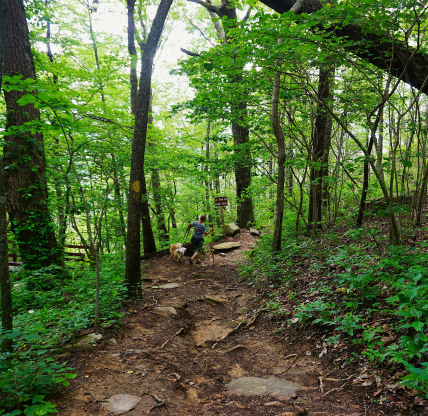 Fort Mountain State Park Georgia. Cheap car insurance in Georgia.