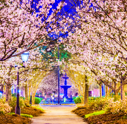 Holly Springs, Georgia, USA in the spring. Cheap car insurance in Georgia.
