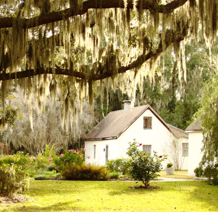 Historic slave quarters near Kingsland, Georgia, with live oak and Spanish moss. Cheap car insurance in Georgia.